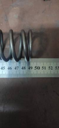fork_spring_2.jpg fork_spring_2.jpg